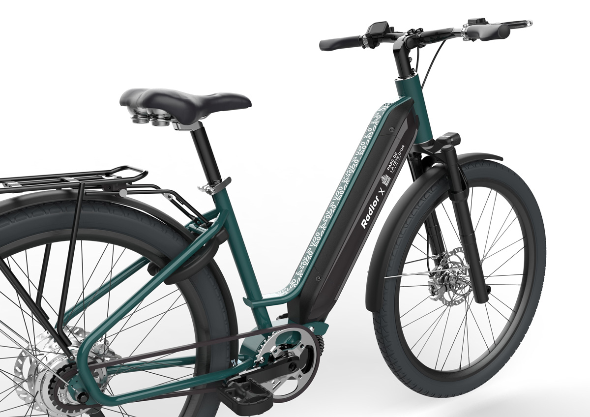 colibri-parc-tete-dor-zoom