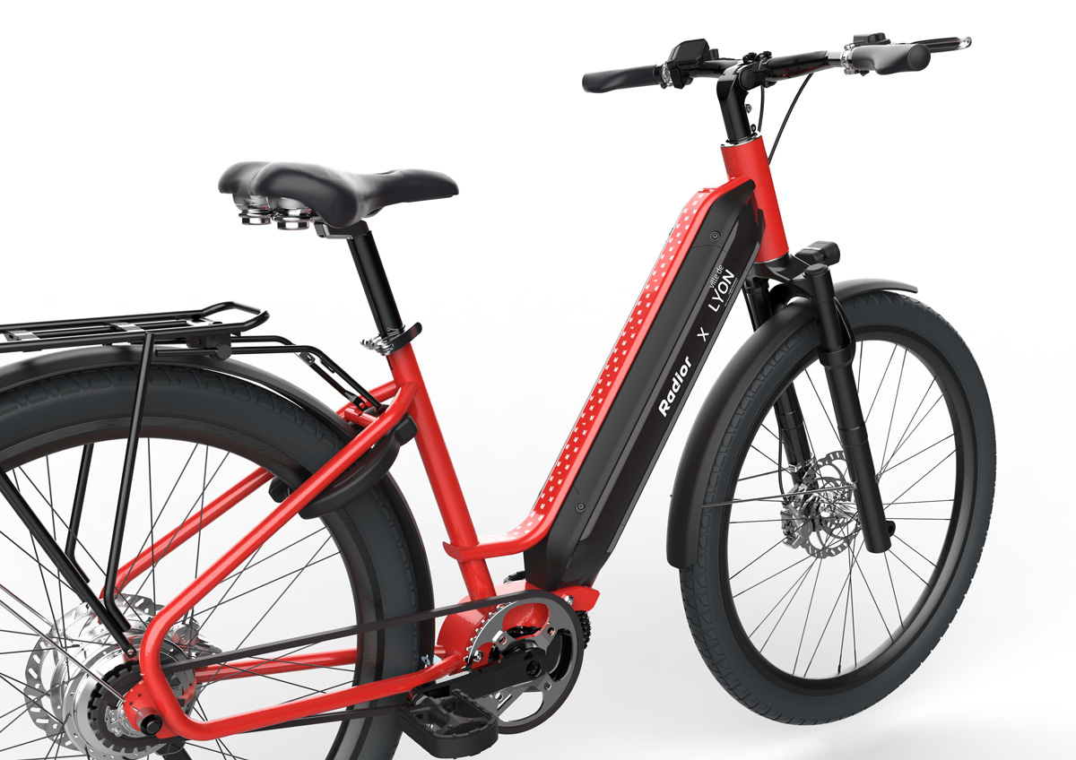 colibri-ville-lyon-zoom