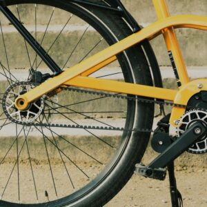 vélo courroie
